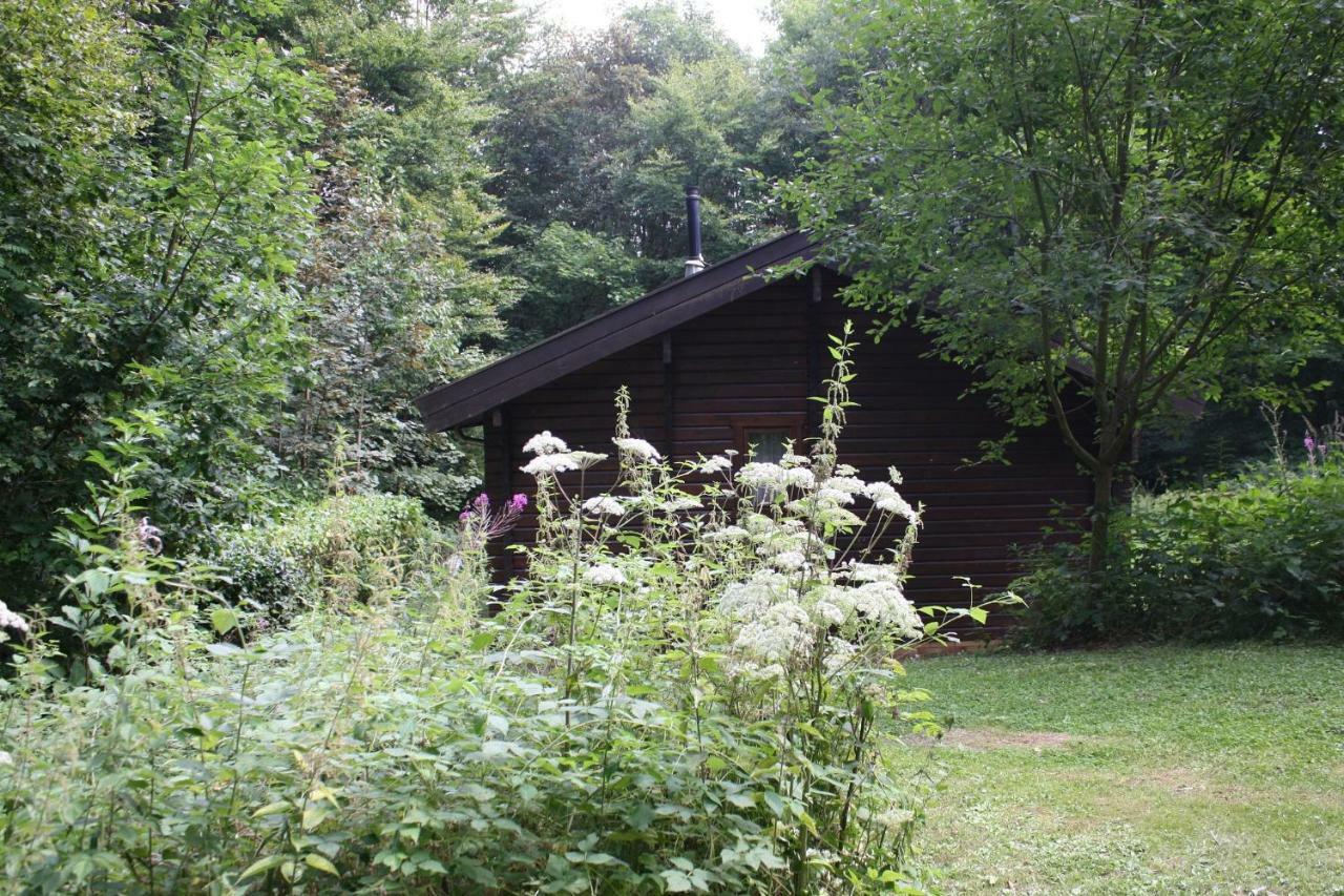 Bungalow; Haus 111 Ferienpark Twistesee, Bad Arolsen Esterno foto